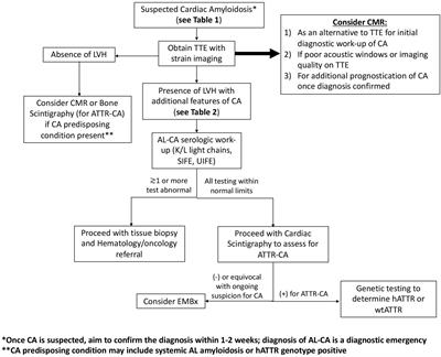 Multimodality Imaging in the Evaluation and Prognostication of Cardiac Amyloidosis